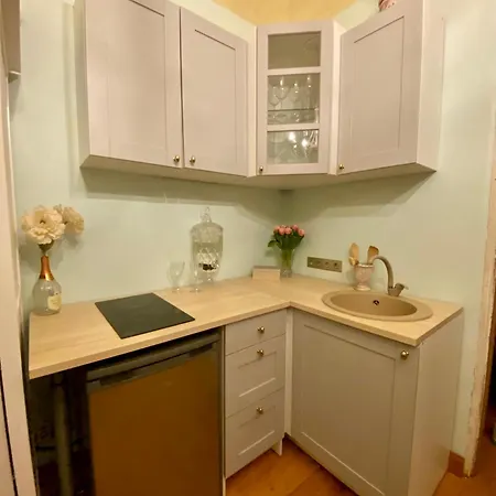 With A Historic Feel In The Center Apartament *